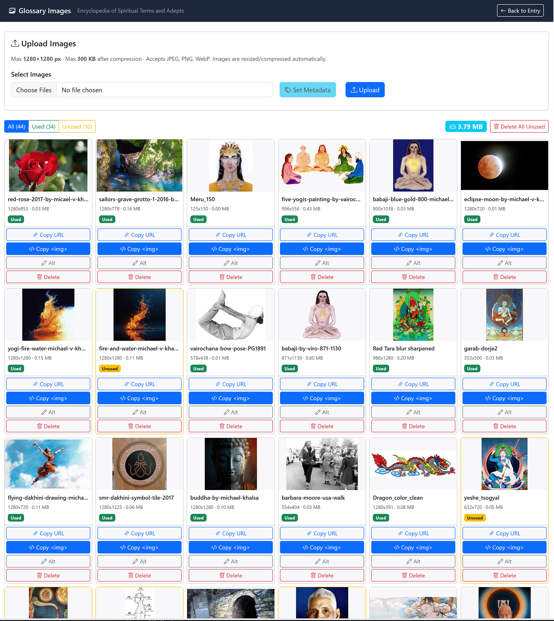 Glossary managed images