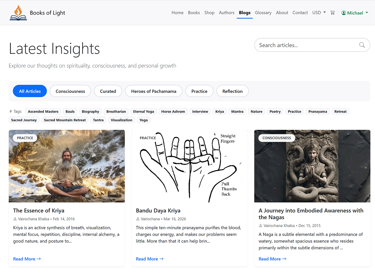 Website blog page example